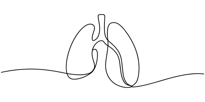 lungs continuous one line drawing, Continuous single line drawing of human lungs with editable stroke. Minimal one line art style vector, Human lungs organ one continuous line art, Vector illustration