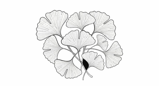 Artistic rendering of layered ginkgo leaves with detailed veins in black and white