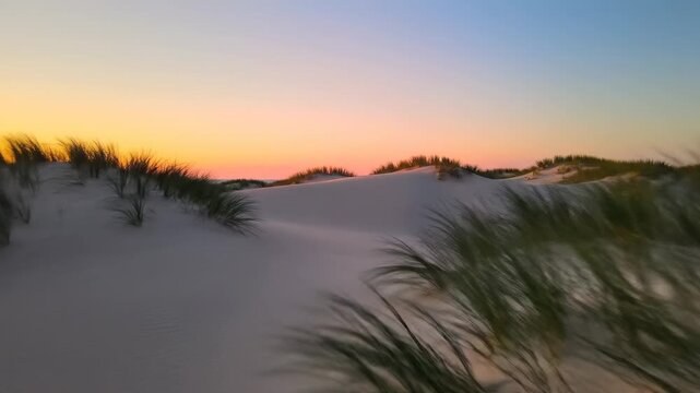 Rolling coastal dunes at sunset. Nature-based calm and environmental continuity concept