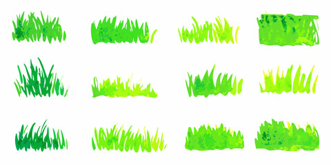 Collection of various green grass tufts and patches on white background © Milton