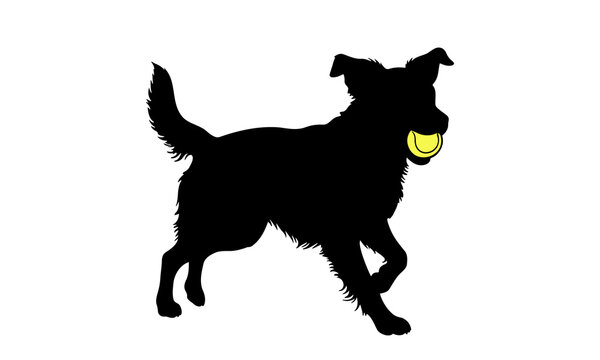 Silhouette of a playful dog running and carrying a yellow tennis ball in mouth