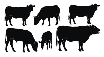 Collection of black angus cattle silhouettes presented in various standing and grazing poses vector design