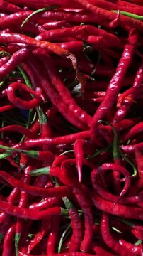 Close-up shot of a large pile of fresh, vibrant red chili peppers with green stems, filling the frame with a bold and spicy mood.