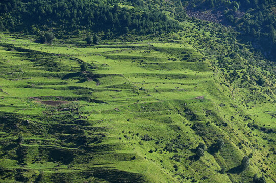 Terraced fields near the village of Goor, Republic of Dagestan, Russia