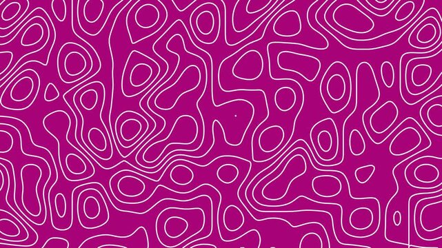 A pink topographic map design with white lines