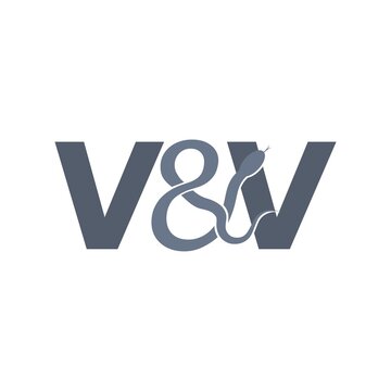 V&V snake logo icon isolated on white background