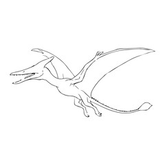 Pterodactyl dinosaur illustration vector  Vector illustration icon on a white background © Roman