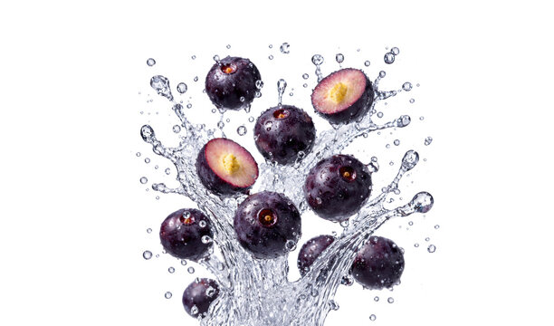 Açaí 画像転載禁止 ♡ Acai Fruit