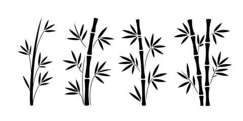 A group of bamboo plants growing in a row with black and white contrast Vector © AZIFA