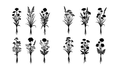 Black Wild Flower Bouquet Silhouette Set with Meadow Herbs and Garden Botanical Compositions Vector