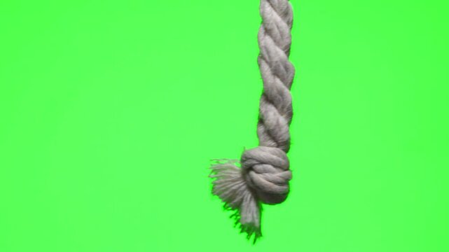 A strong rope on a green isolated background.
A hand holds a loop of rope.
A thick rope in a hand