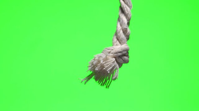 Strong nautical rope.
Rope on a green isolated background.
Nautical knot on a rope.