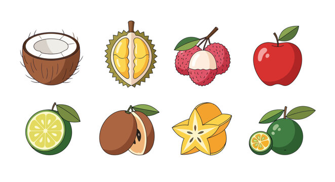 Cartoon fruits coconut durian apple and more