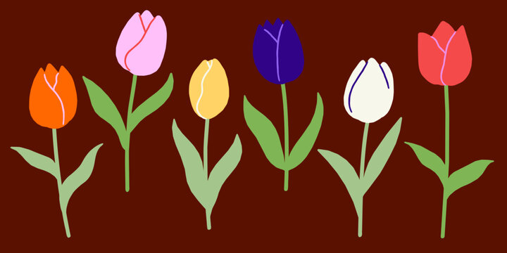 Tulips Spring Flowers Vector Flower Illustration set