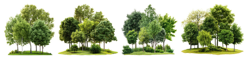 Fototapeta premium PNG Lush green trees landscape, transparent background