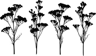 Flowering plant stem silhouettes with branches and buds, botanical vector illustration design, natural floral artwork, decorative foliage shapes for artistic and educational themes © MOSTSUMAIYA