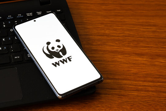 Punta Arenas, Chile &ndash; March 05, 2026: A smartphone screen displaying the World Wide Fund for Nature (WWF) panda logo, resting on a black laptop keyboard