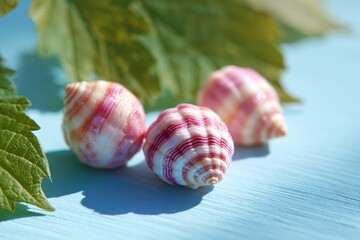 Pink and white seashells on blue wooden surface with green leaves