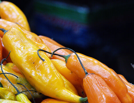 A vibrant close-up displays fresh yellow and orange Aji Amarillo chili peppers.