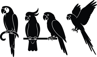 Parrot silhouette set, tropical bird collection with macaw and cockatoo, perched and flying parrot icons, exotic wildlife vector illustration bundle © LITON