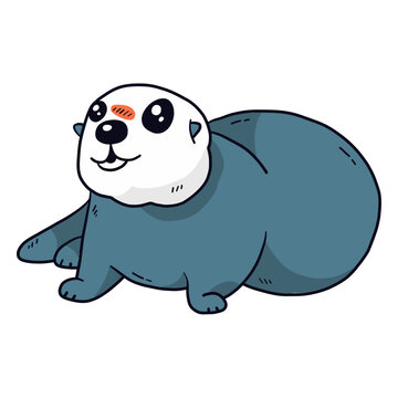 Cute otter sea otter muzzle tail fat flat