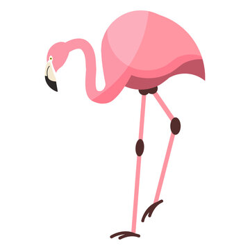 Flamingo pink beak leg flat