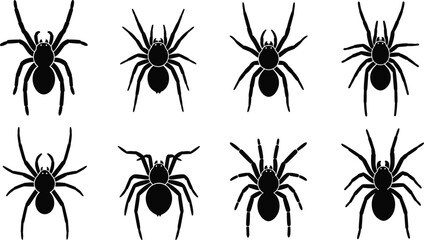 Black silhouette collection of spider designs, creepy insect vector icons for Halloween, nature, arachnid studies, decoration, and pattern art © Kajal