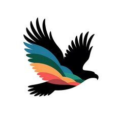 Obraz premium Colorful bird in flight silhouette