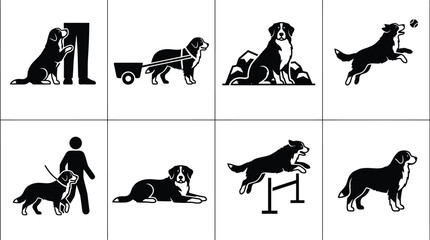 Vector illustrations of various dog activities including training, playing, and companionship © Muhammad