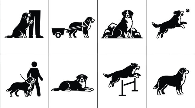 Vector illustrations of various dog activities including training, playing, and companionship