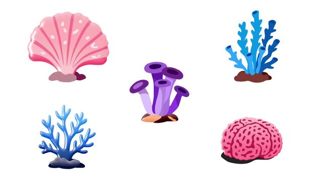 2D Animated Coral Reef Collection with Shell Tube Coral Branch Coral and Brain Coral for Ocean Theme Loop