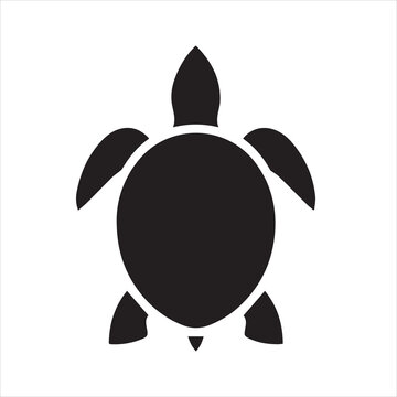 vector illustration of a turtle