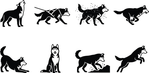 Vector illustrations of various husky dog poses showcasing movement and expression in a cohesive style © Muhammad