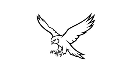 Fototapeta premium Flying Falcon or Hawk Bird of Prey Outline Illustration
