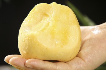 Fresh Golden Yellow Apple in Hand - Sweet Crunchy Fruit Close-up