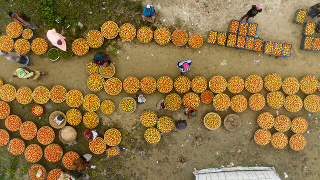 Aerial view of golden circles of produce arranged meticulously along Baishmouja bazar main road, creating a vibrant tapestry of commerce and community, Brahmanbaria, Bangladesh.