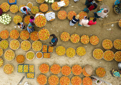Aerial view of vibrant tomatoes bursting in woven baskets along Baishmouja bazar main road, a colorful tapestry of commerce, Brahmanbaria, Chittagong Division, Bangladesh.