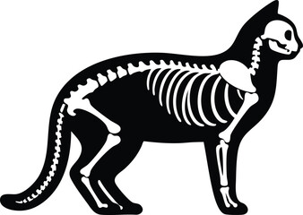 Obraz premium Cat skeleton silhouette vector illustration x-ray style graphic isolated on a white background