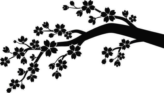 Cherry blossom tree branch silhouette with blooming sakura flowers and buds, elegant Japanese spring floral design isolated vector illustration