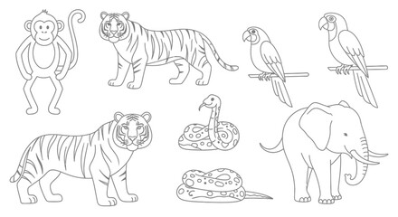 Endangered Animals Line Art.