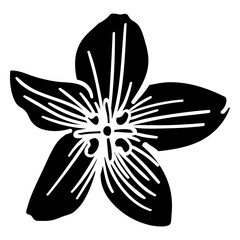 Petal flower detailed silhouette © Vexels