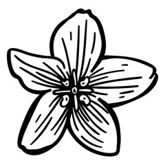 Petal flower stroke © Vexels