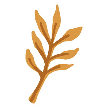 Hand drawn doole brown branch leaves