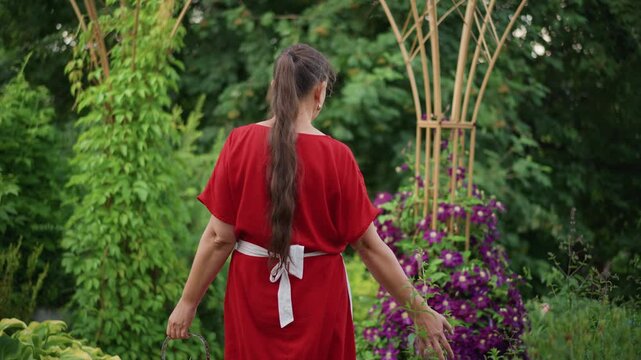 Young woman exploring garden, braided ponytail trailing, reaching out to purple clematis with gentle touch, roles as gardener, florist, observer, seasonal wanderer, soft daylight and leafy backdrop