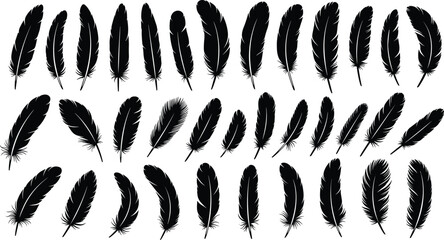 Set of black feather silhouettes, various bird plumes in different shapes and sizes, decorative wing elements for nature inspired graphic design © MDGOLAP