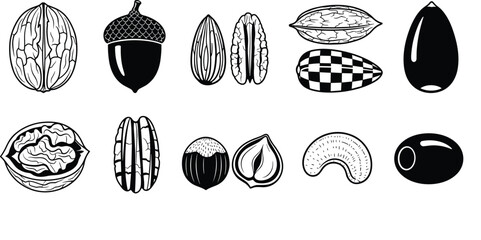 Hand drawn nut collection vector illustration with walnut acorn almond pecan hazelnut cashew isolated on white background organic healthy food © MDGOLAP