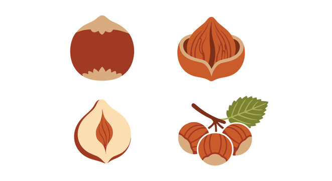 Hazelnut Line art vector set colorful creative design illustration