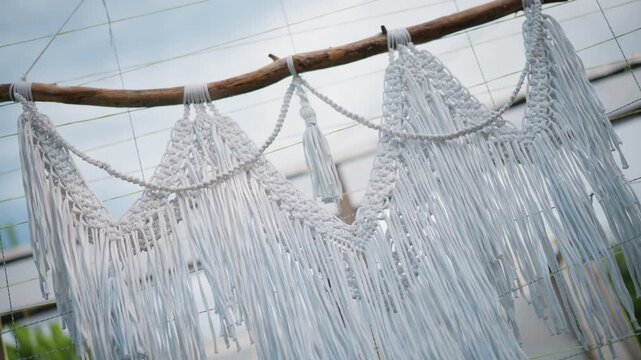 Soft macrame fringe hanging indoors greenhouse closeup tassels and beadwork on driftwood dowel textile artist weaving knot patterns blurred foliage foreground muted natural tones artisanal detail