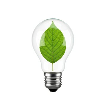 A lightbulb with a green leaf inside symbolizing eco-friendly innovation.