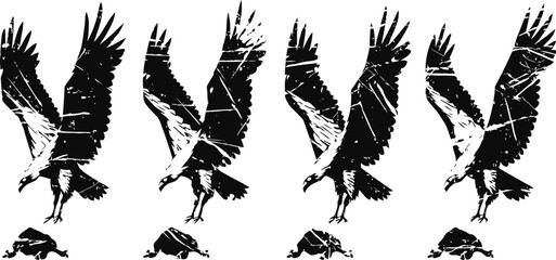 Fototapeta premium Eagle silhouette landing sequence black bird of prey with wings spread hunting and capturing fish